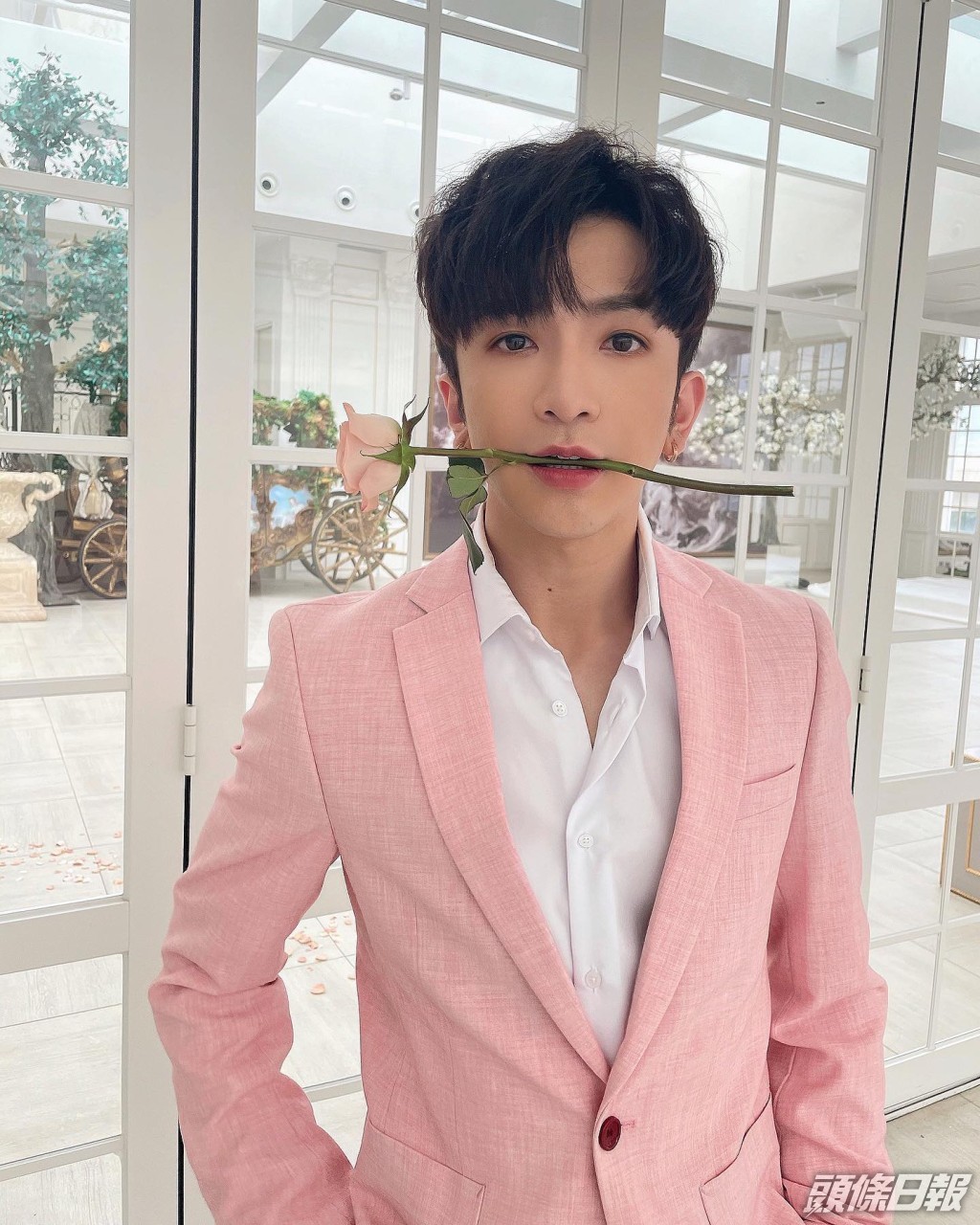 Anson Lo「粉紅教主」形象深入民心。